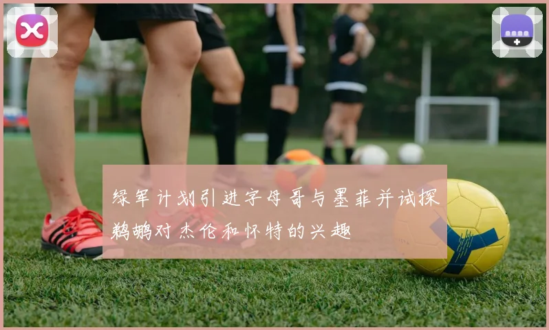 绿军计划引进字母哥与墨菲并试探鹈鹕对杰伦和怀特的兴趣