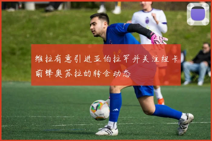 维拉有意引进亚伯拉罕并关注纽卡前锋奥苏拉的转会动态